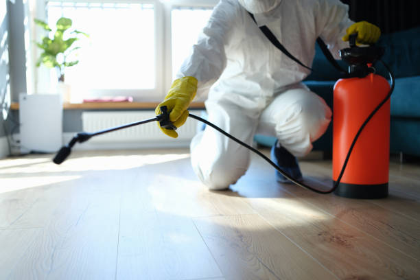 Reliable Odor Removal contractor in Washington, NE by Trauma Clean Pros